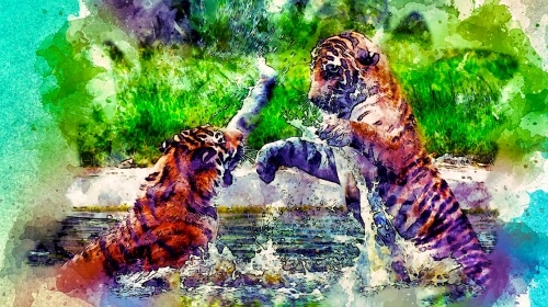 The fighting Tigers – Thursday’s Daily Jigsaw Puzzle