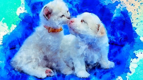 Dog and Cat Painting – Friday’s Free Daily Jigsaw Puzzle