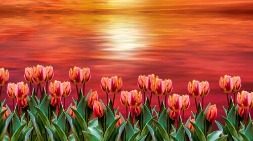 Sunset Flowers – Friday’s Pretty Jigsaw Puzzle