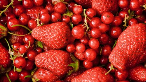 Saturday’s Daily Jigsaw Puzzle – Red Berries