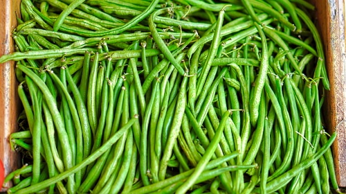 Green Beans – Thursday’s Daily Jigsaw Puzzle