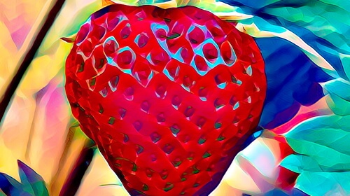 Psychedelic Strawberry – Friday’s Free Daily Jigsaw Puzzle