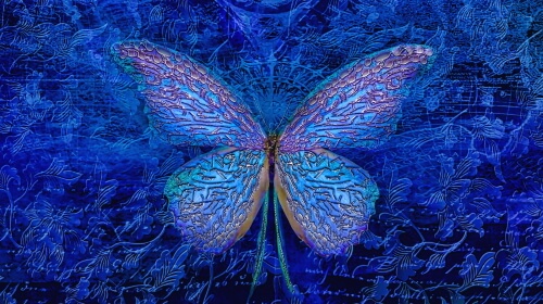 Butterfly Art – Monday’s Daily Word Search Puzzle