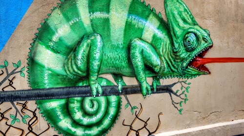 Chameleon Art – Saturday’s Jigsaw Puzzle