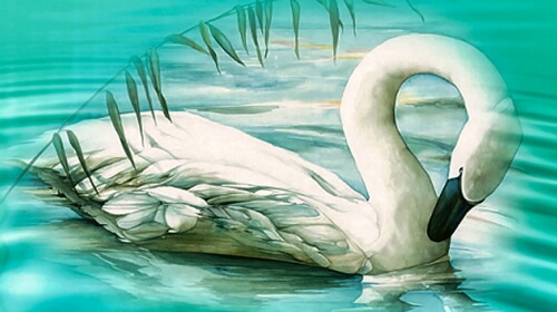 The Beautiful Swan