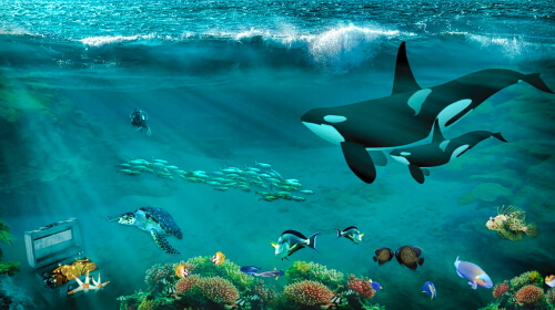 Whales – Wednesday’s Underwater Jigsaw Puzzle