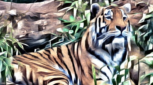 The Tiger – Wednesday’s Daily Jigsaw Puzzle