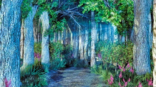 The Forest – Tuesday’s Daily Jigsaw Puzzle