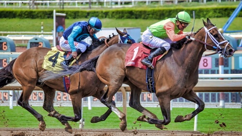 Horse Racing – Wednesday’s Daily Jigsaw Puzzle