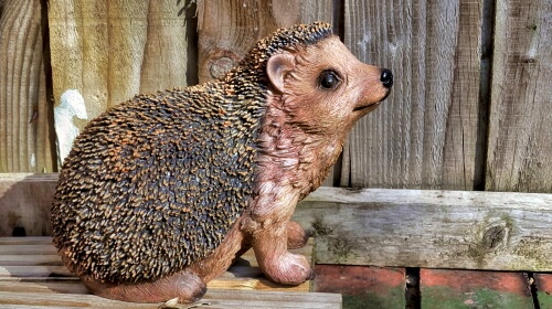 The Hedgehog – Friday’s Daily Jigsaw Puzzle