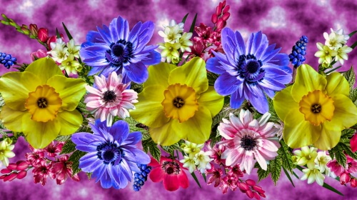 Beautiful Flowers – Friday’s Free Daily Jigsaw Puzzle