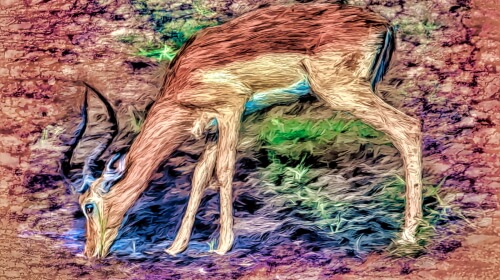 Deer Art – Tuesday’s Daily Jigsaw Puzzle