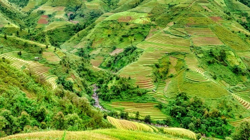 Terraces – Monday’s Daily Jigsaw Puzzle