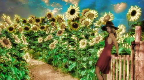 Woman and Sunflowers – Sunday’s Daily Jigsaw Puzzle