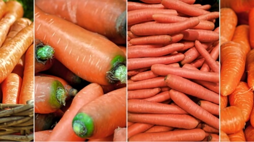 Carrots – Sunday’s Delicious Daily Jigsaw Puzzle