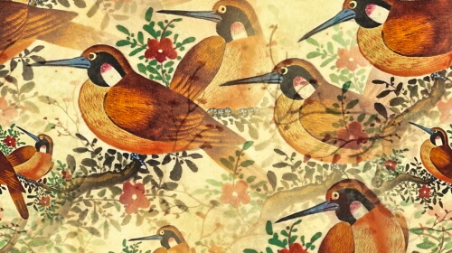 Birds – Sunday’s Daily Jigsaw Puzzle