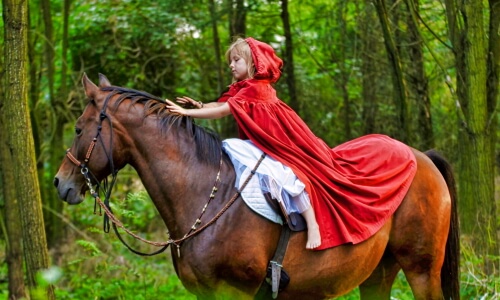 A Horse And Her Little Girl