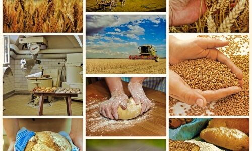 A Loaf of Bread – Sunday’s Daily Jigsaw Puzzle