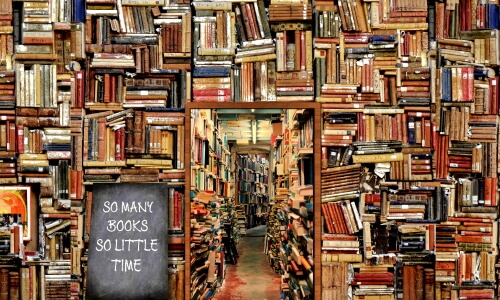 So Many Books, So Little Time