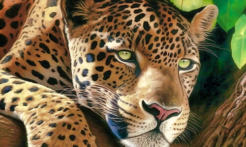 Leopard Art – Sunday’s Daily Jigsaw Puzzle