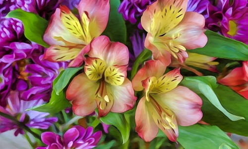Beautiful Flowers – Thursday’s Daily Jigsaw Puzzle