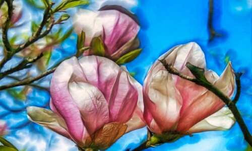 Tree Flowers – Tuesday’s Daily Jigsaw Puzzle