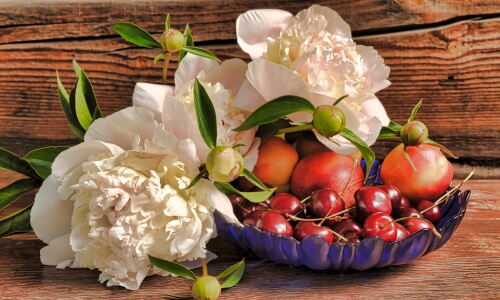 Peonies Still Life