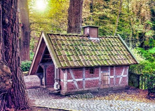 The Carriage House In The Woods