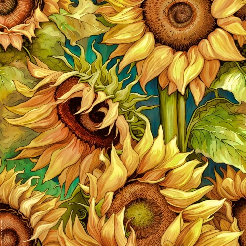 Sunflowers – A New View