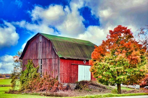 A Red Barn – Saturday’s Daily Jigsaw Puzzle