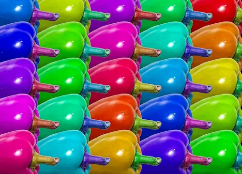Colorful Peppers – Monday’s Free Daily Jigsaw Puzzle