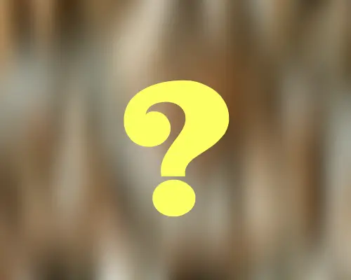 Reading Rabbits – Friday’s Surprise Daily Jigsaw Puzzle