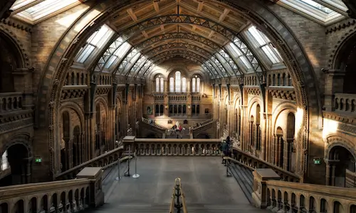 Museum – Monday’s Free Jigsaw Puzzle