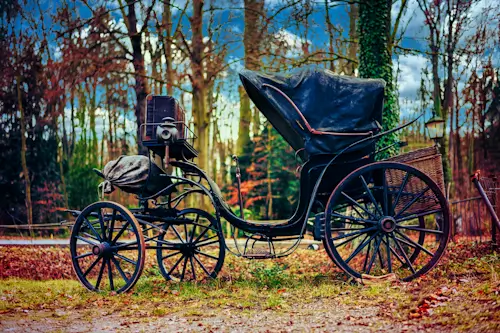 Coach – Wednesday’s Wild Ride Daily Jigsaw Puzzle