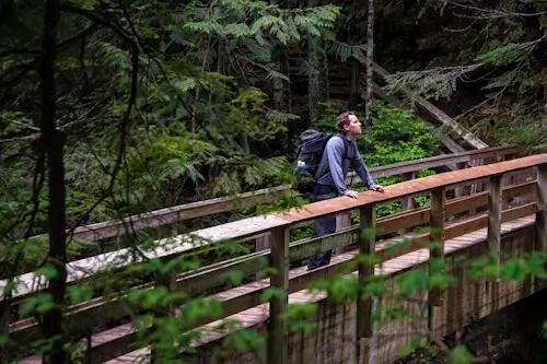 A Walk Through Nature – Monday’s Daily Jigsaw Puzzle