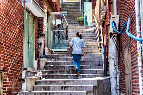 Monday’s Daily Jigsaw Puzzle – The Long Walk  Home