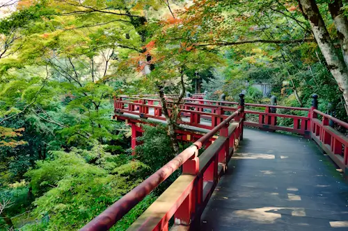 A Bridge In Japan – Tuesday’s Daily Jigsaw Puzzle