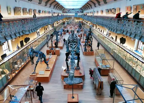 A Night At The Dinosaur Museum – Saturday Daily Jigsaw Puzzle