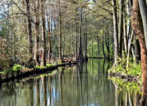 A Walk Through Nature – Thursday’s Daily Jigsaw Puzzle