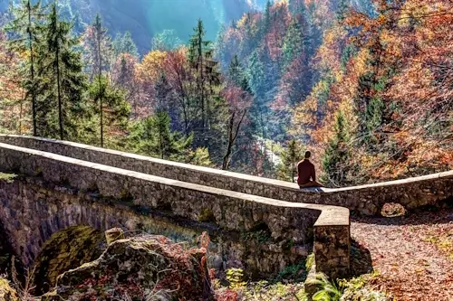 Thursday’s Daily Jigsaw Puzzle – Resting